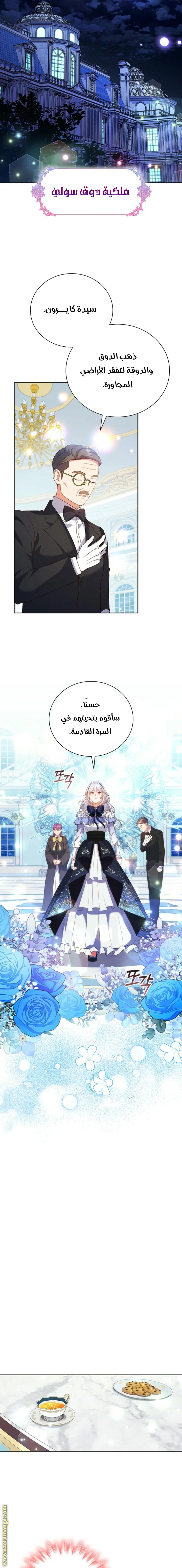 الصفحة 14