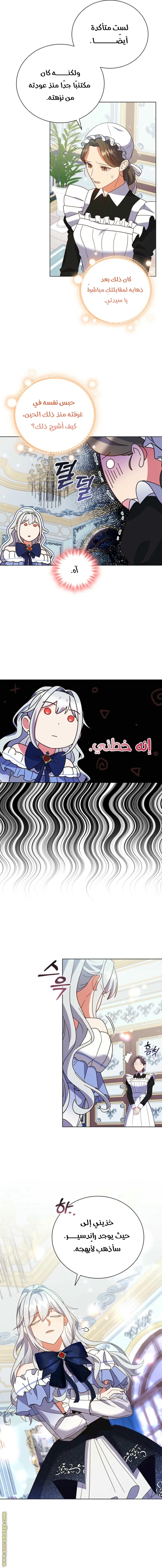 الصفحة 17