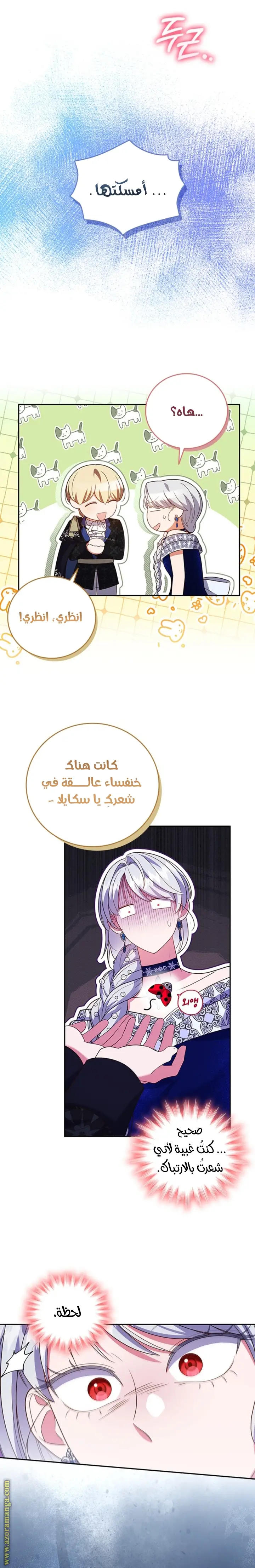 الصفحة 17