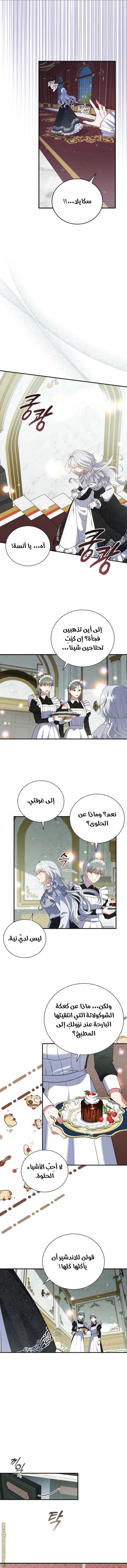 الصفحة 8