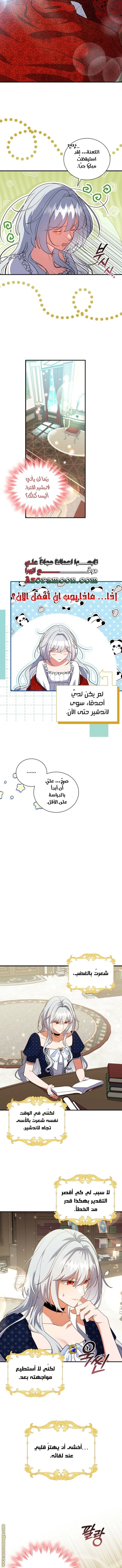 الصفحة 10