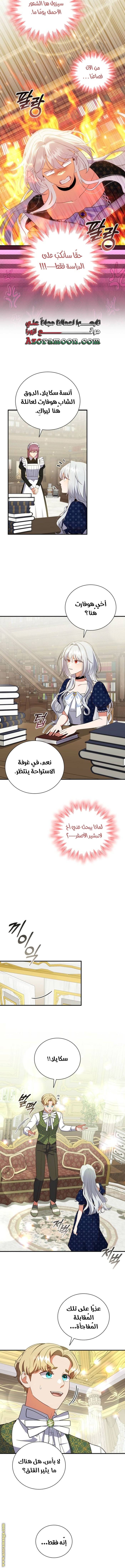 الصفحة 11