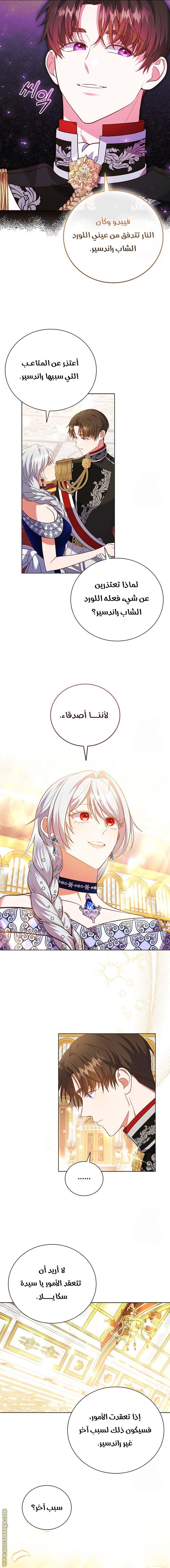 الصفحة 11