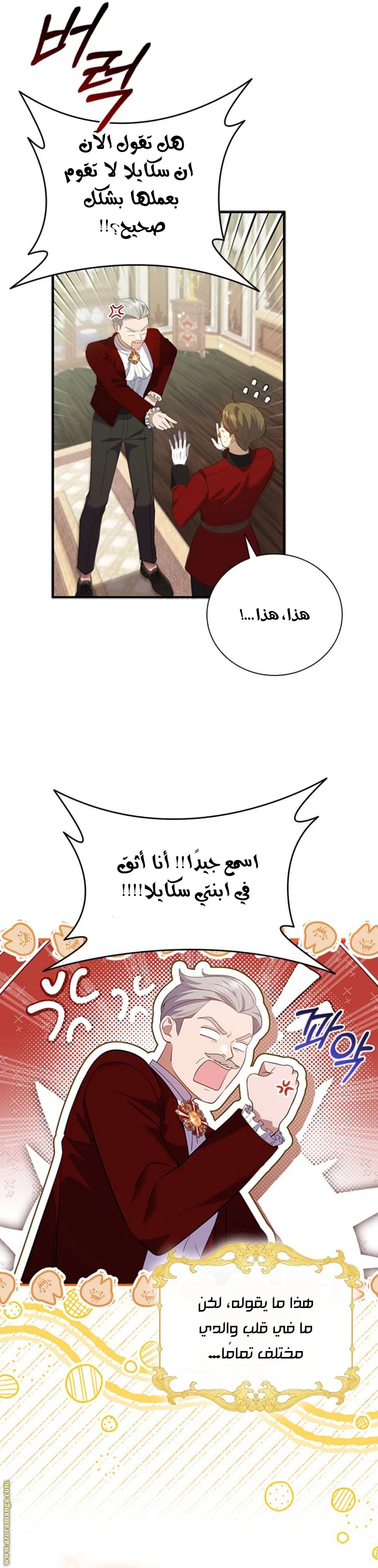 الصفحة 17