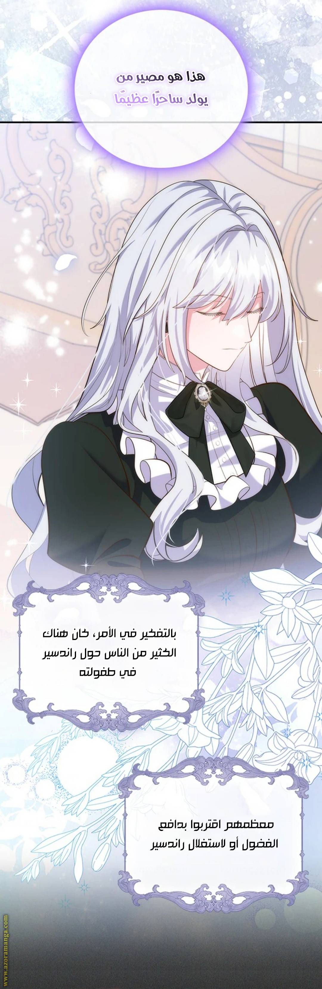 الصفحة 25