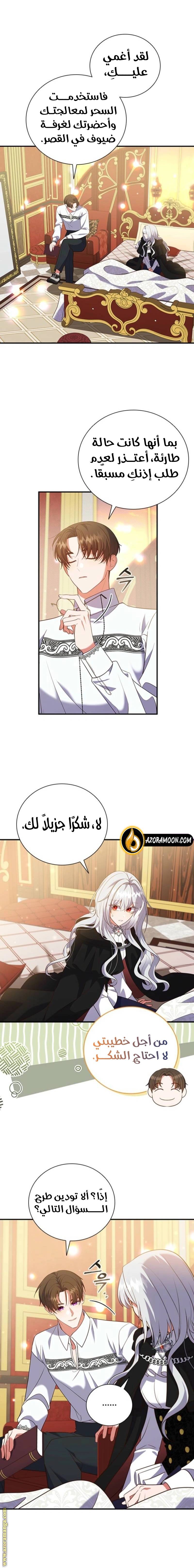 الصفحة 13
