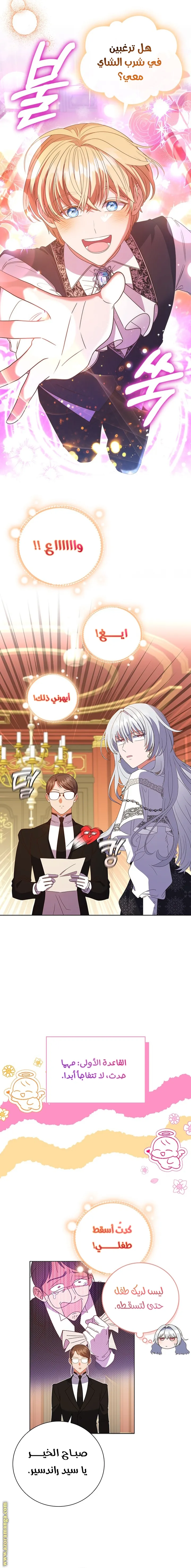 الصفحة 11