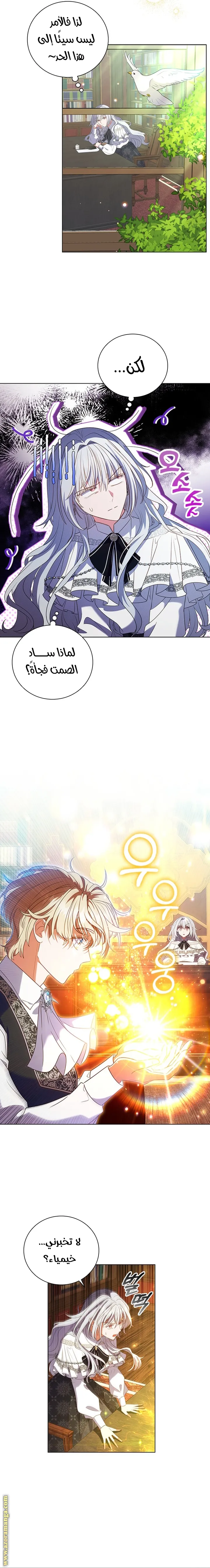 الصفحة 25