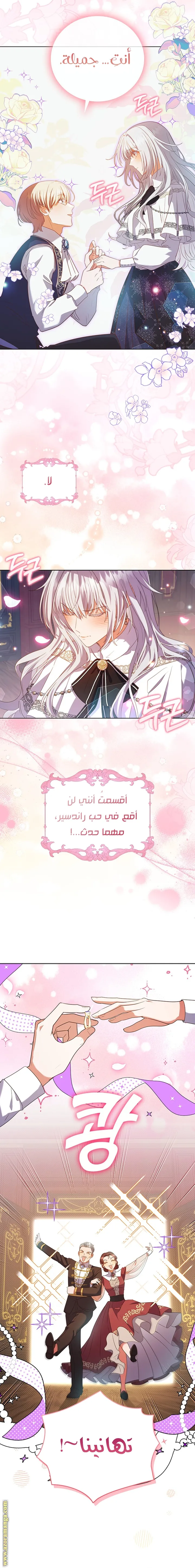 الصفحة 27