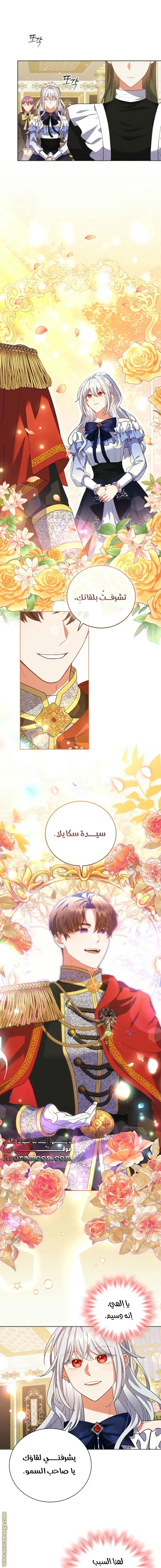الصفحة 11