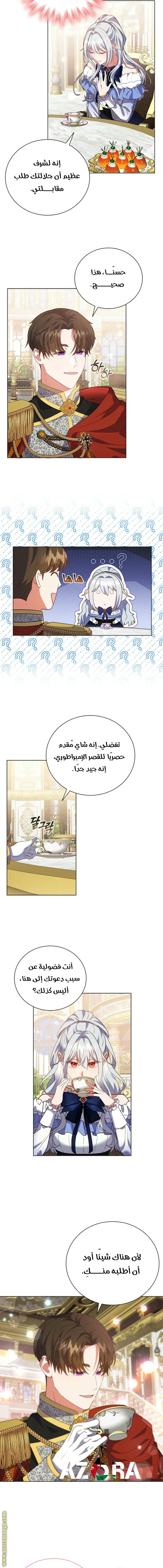 الصفحة 14