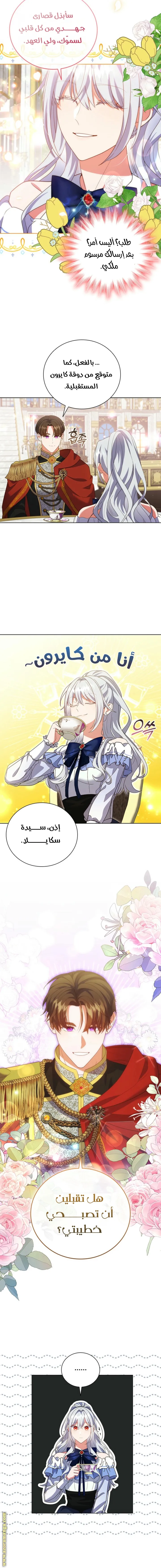 الصفحة 15