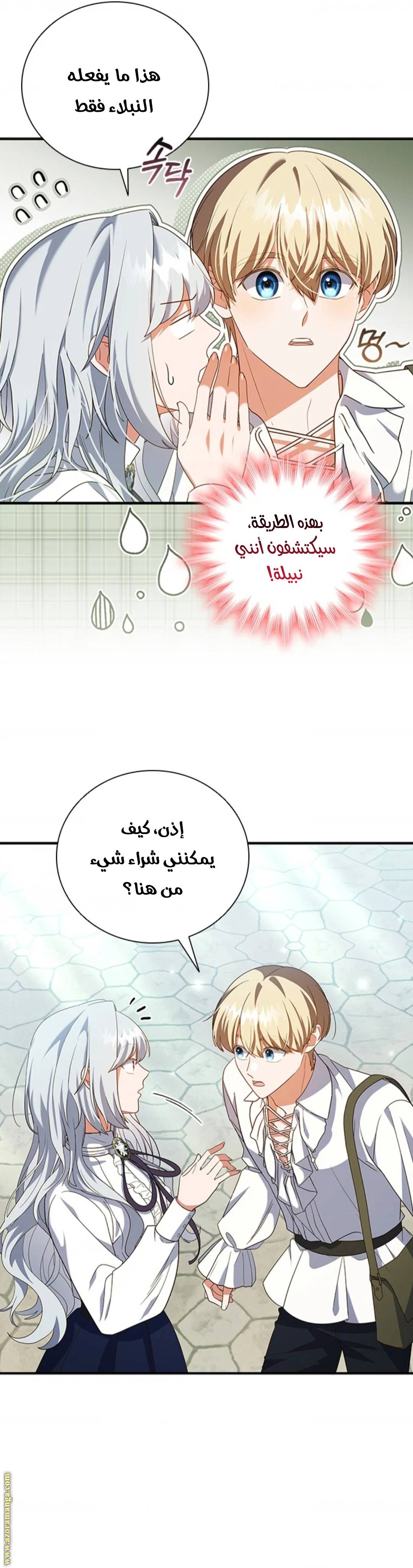 الصفحة 20