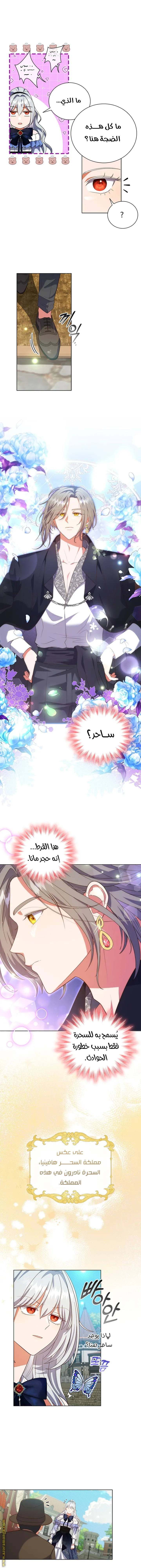 الصفحة 6