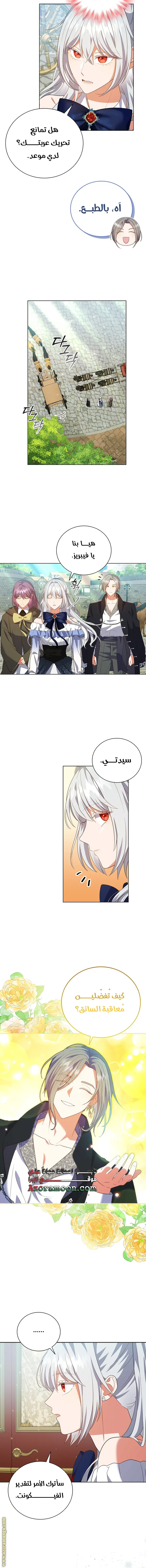 الصفحة 11