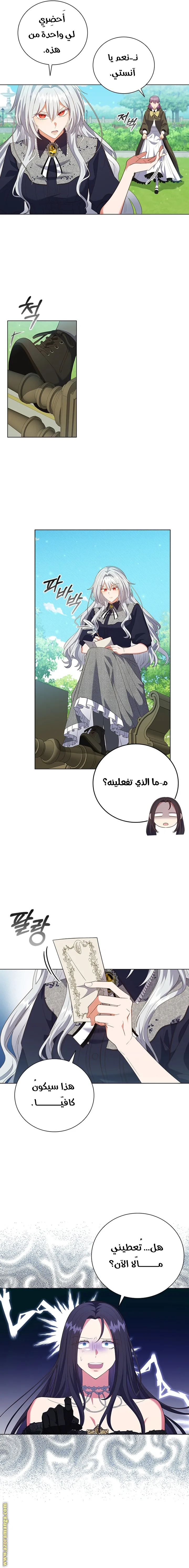 الصفحة 8