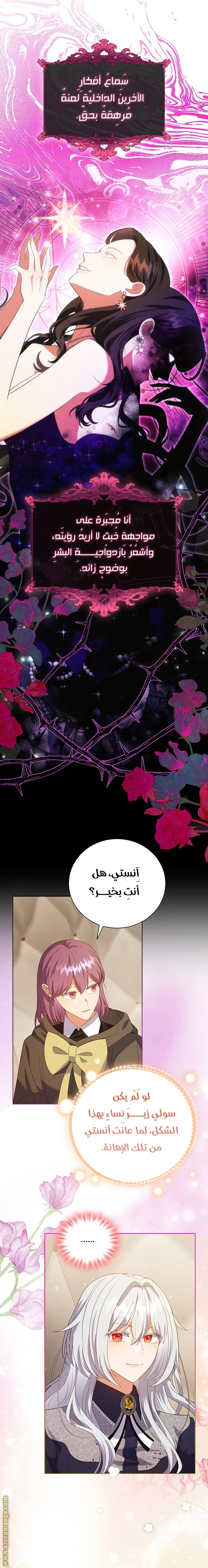 الصفحة 13
