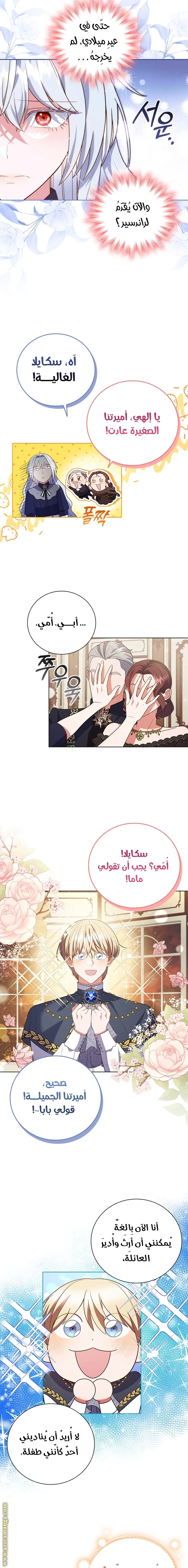 الصفحة 17