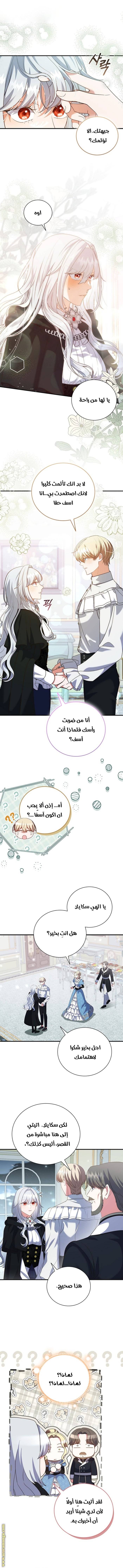 الصفحة 3