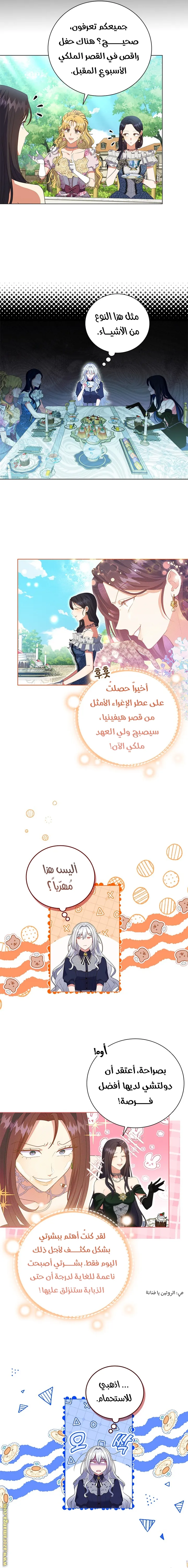 الصفحة 11