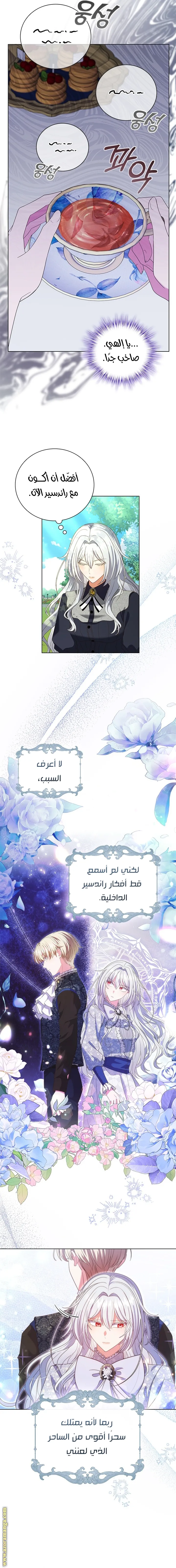 الصفحة 13