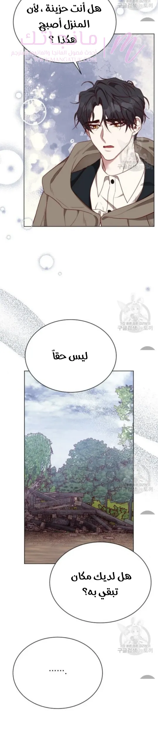 الصفحة 21