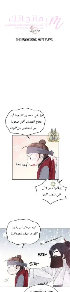 الصفحة 8