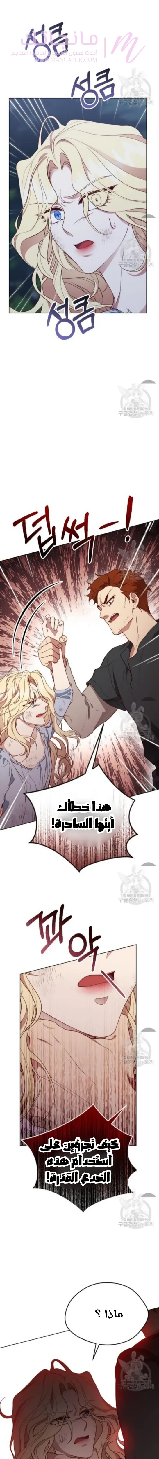 الصفحة 21
