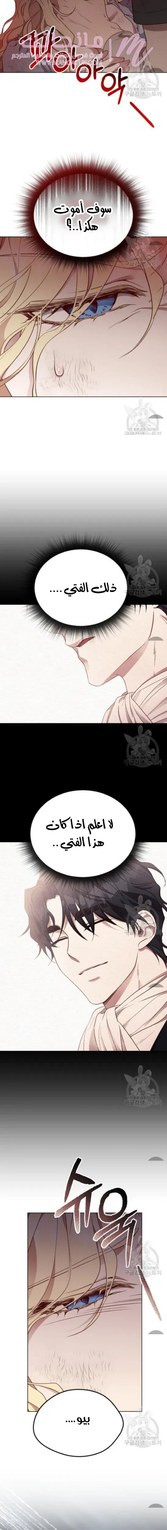 الصفحة 22