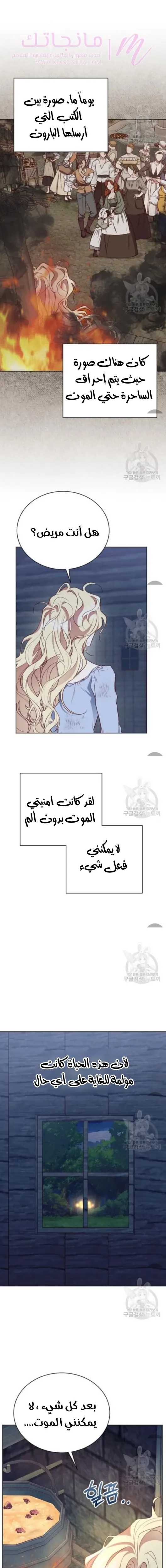 الصفحة 19