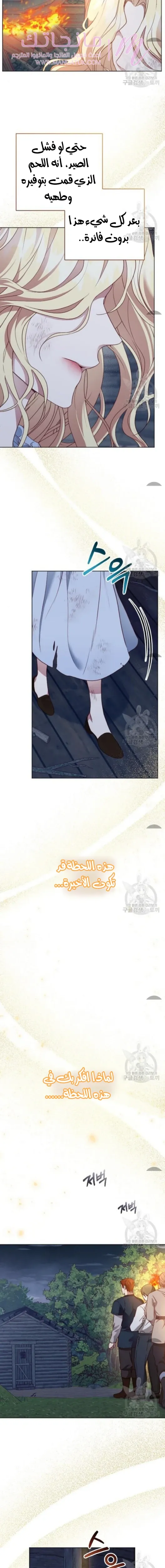 الصفحة 20