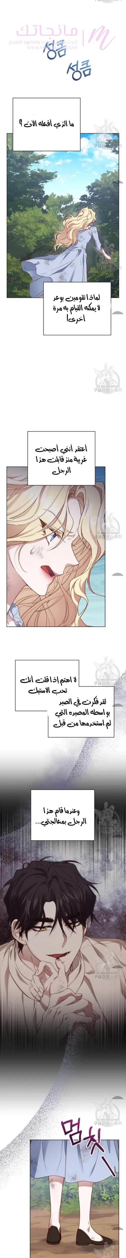 الصفحة 19