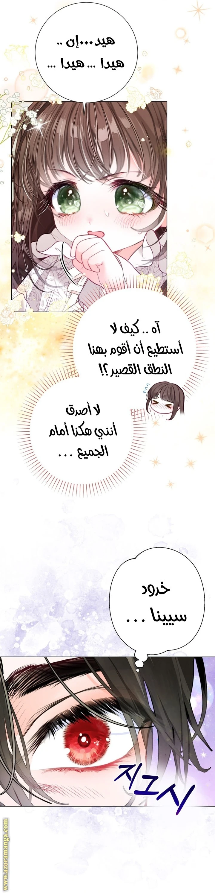 الصفحة 12
