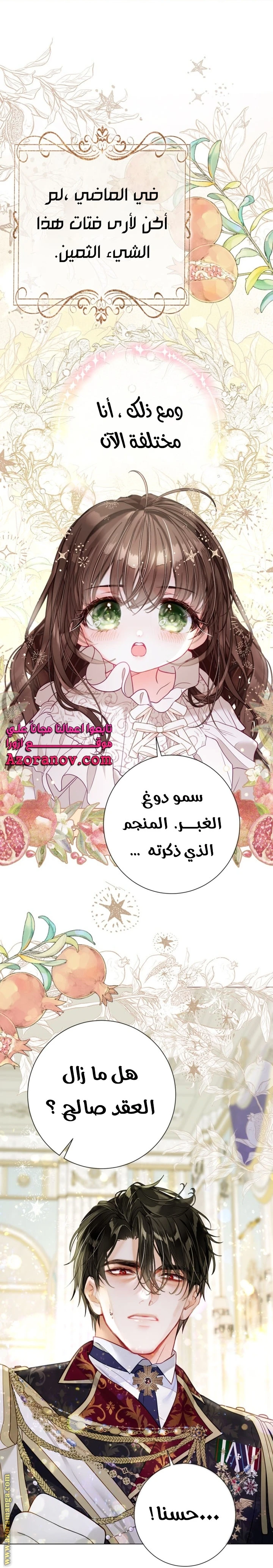 الصفحة 17