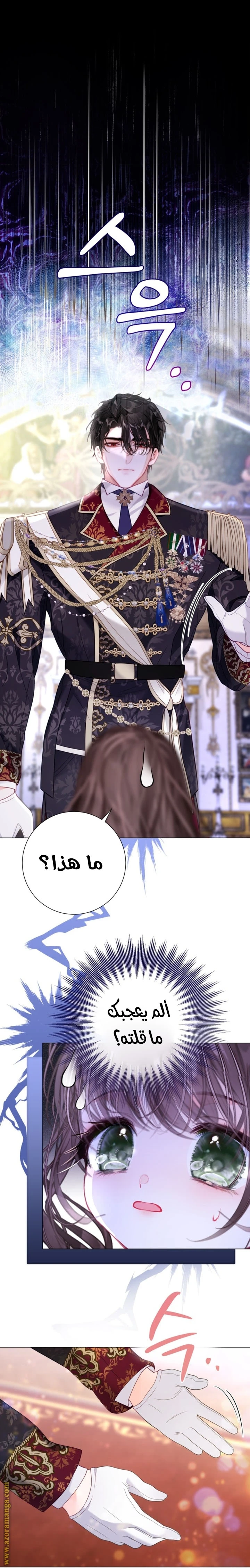الصفحة 28