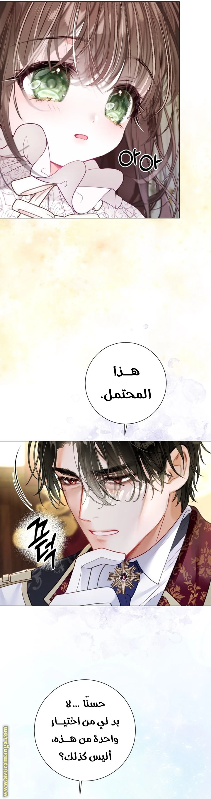 الصفحة 40