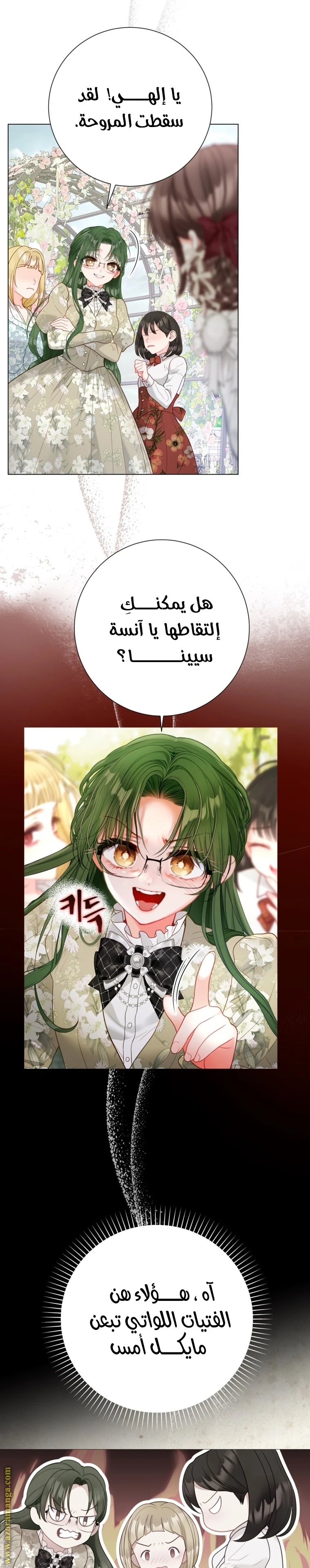 الصفحة 17