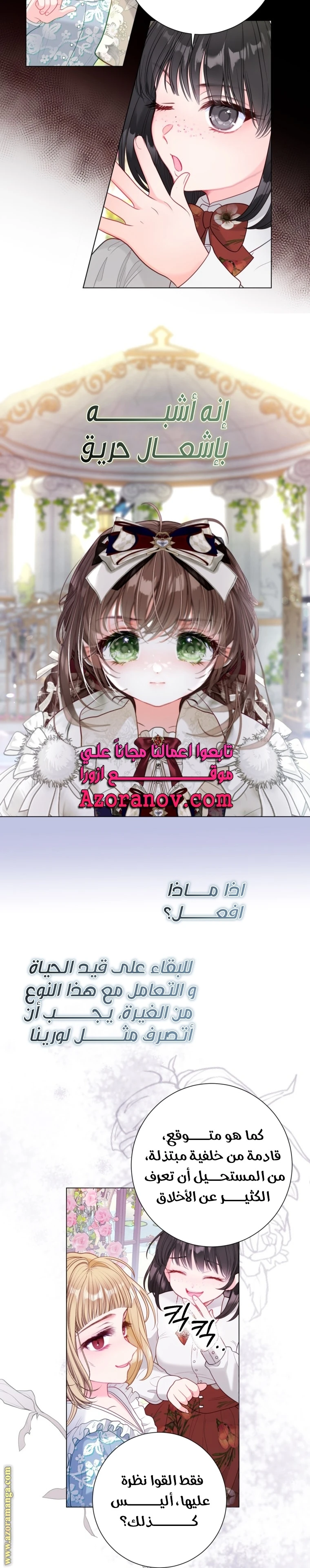 الصفحة 19