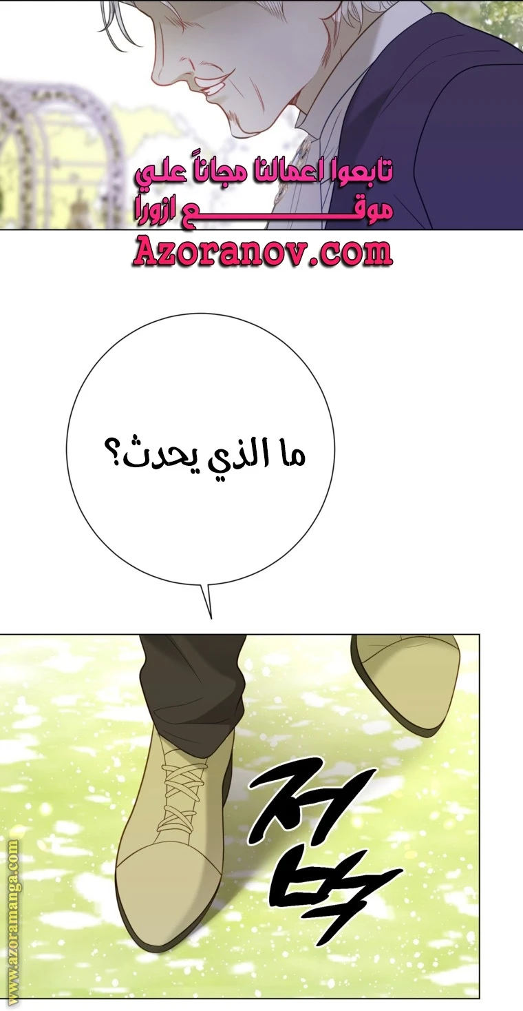 الصفحة 26