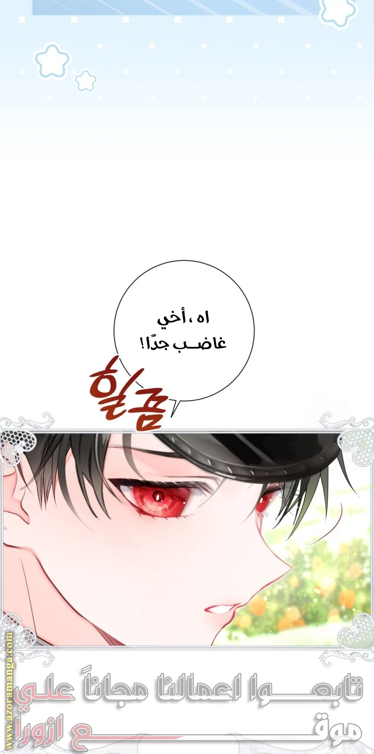 الصفحة 25