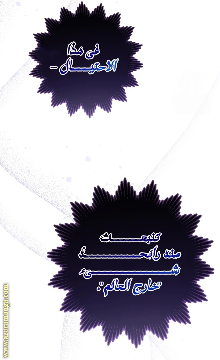 الصفحة 42
