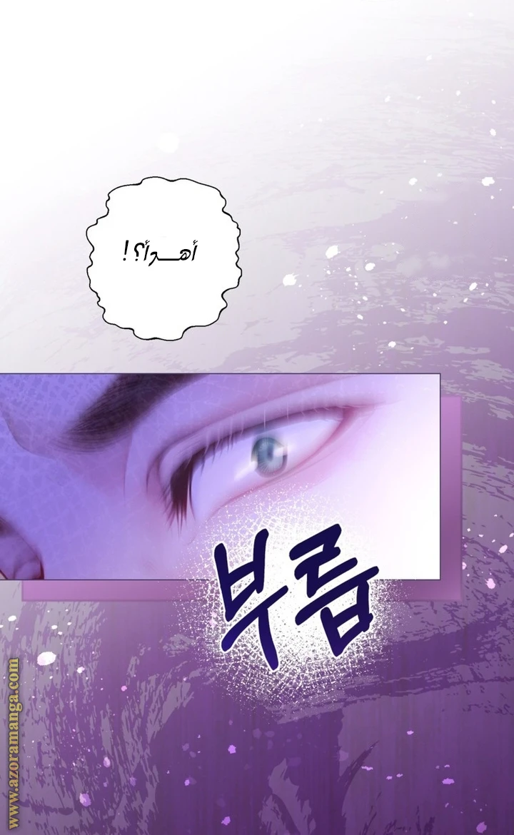 الصفحة 22