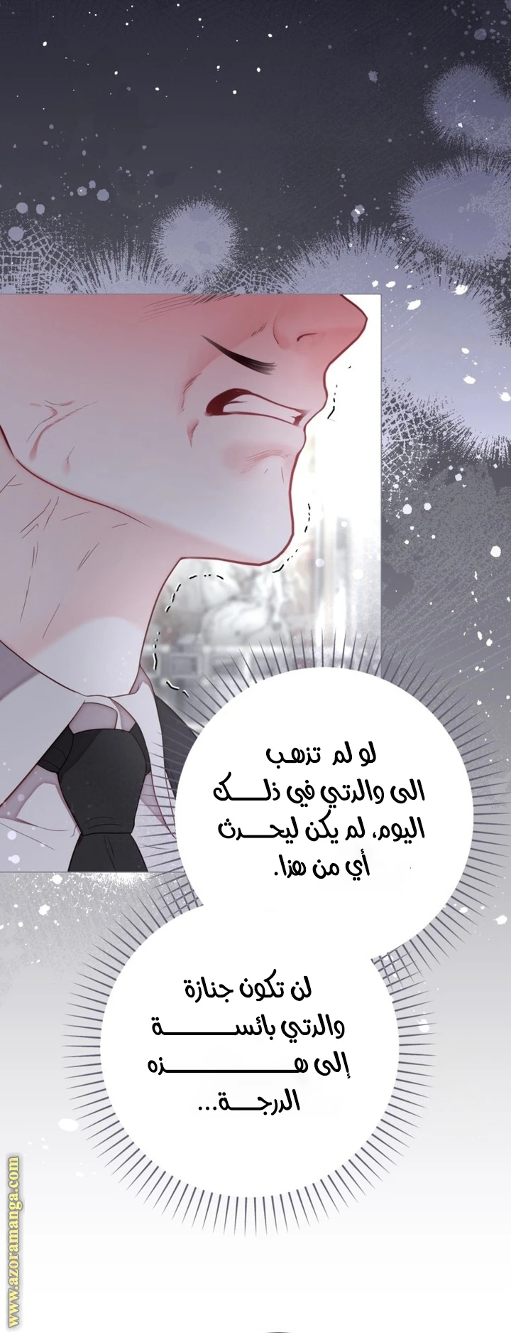 الصفحة 53