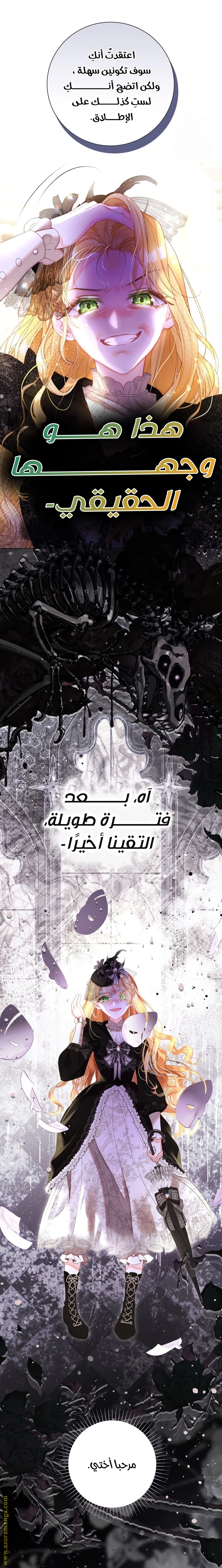الصفحة 40