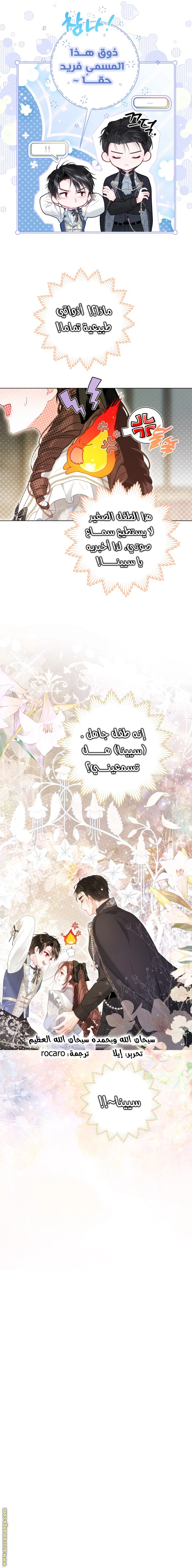 الصفحة 12