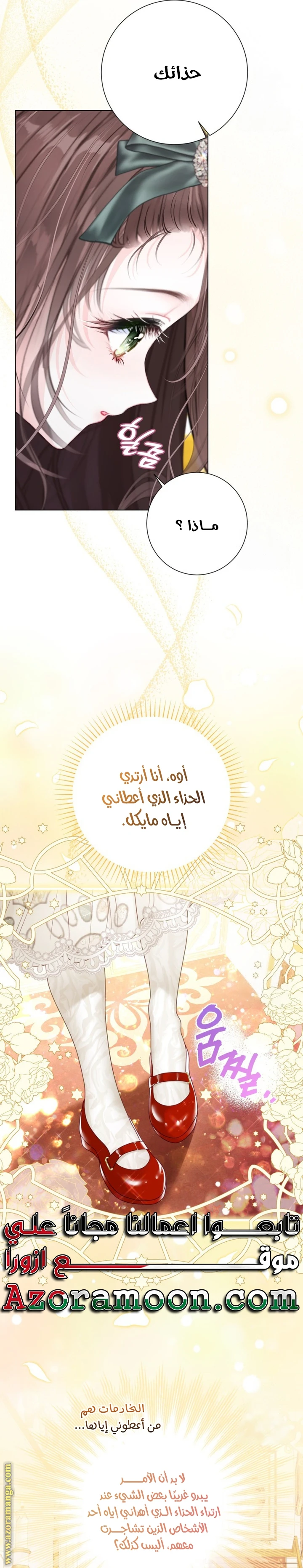 الصفحة 17