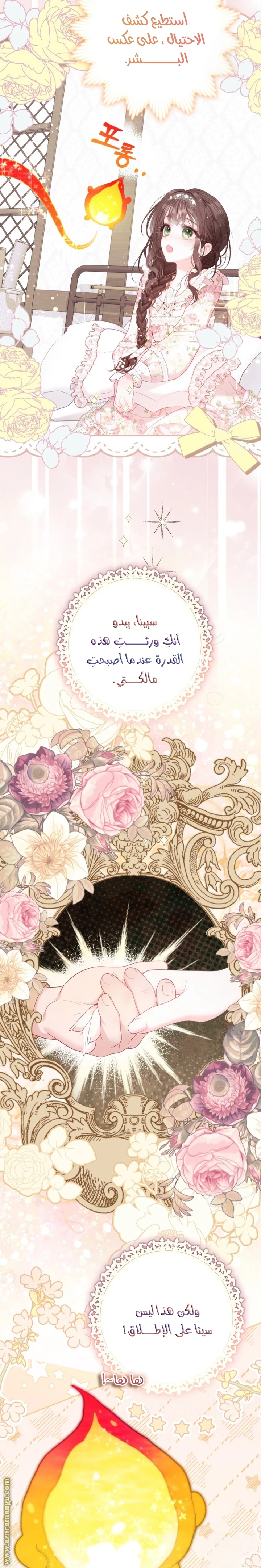الصفحة 26