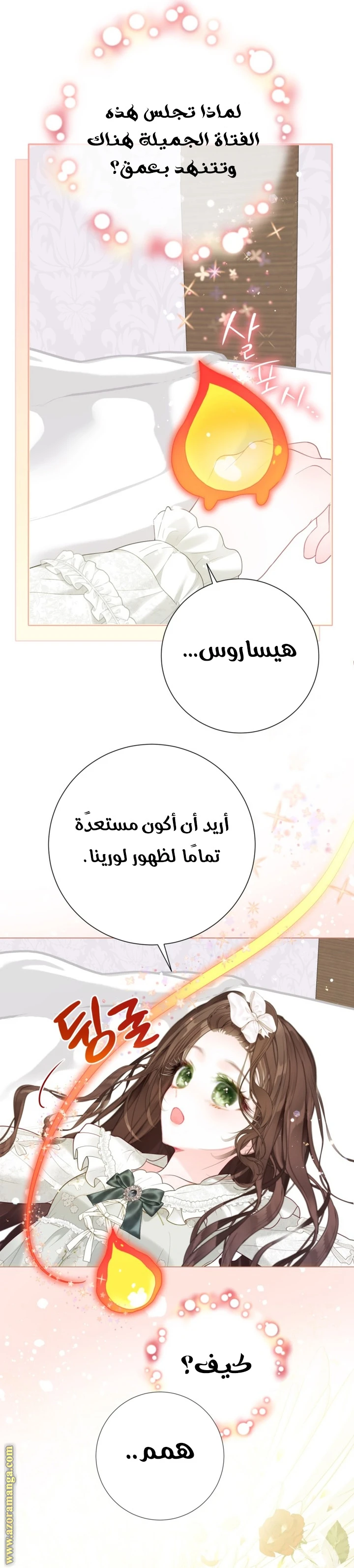 الصفحة 13