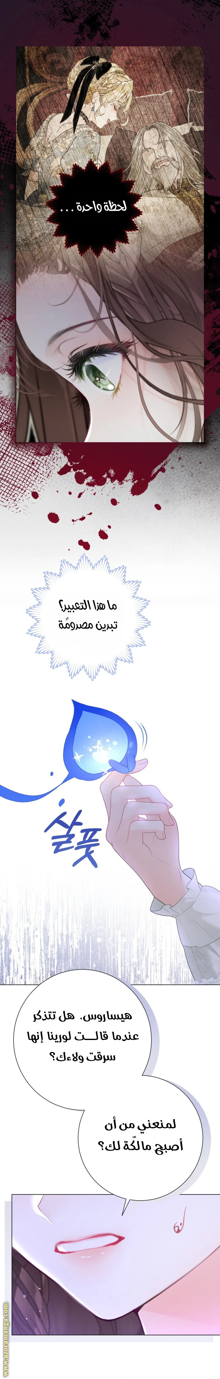 الصفحة 17