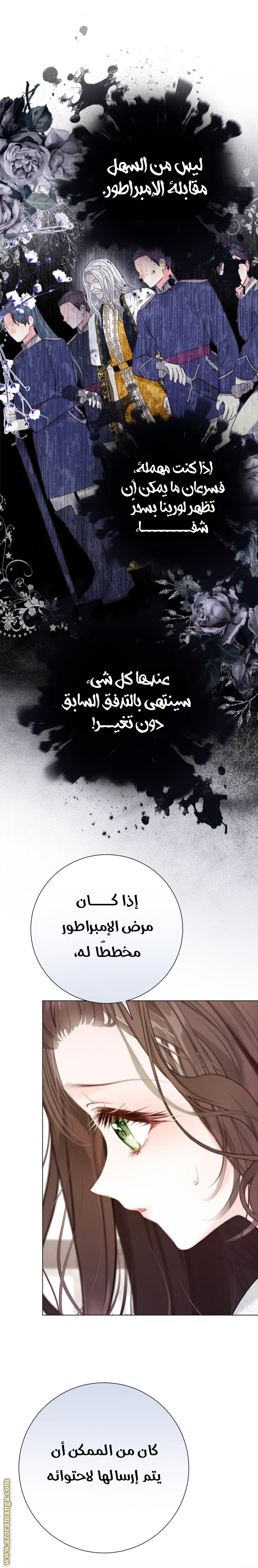 الصفحة 19